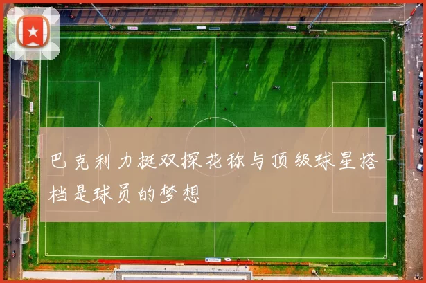 巴克利力挺双探花称与顶级球星搭档是球员的梦想